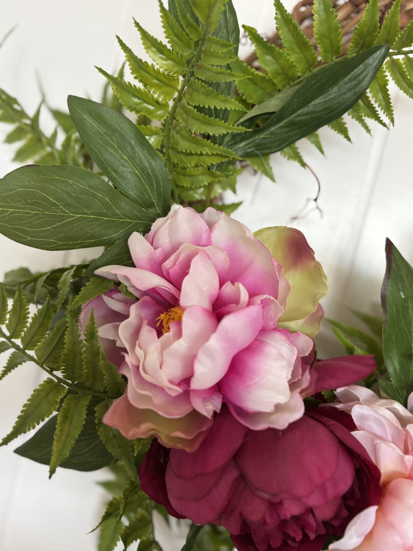 Peony grapevine-pink