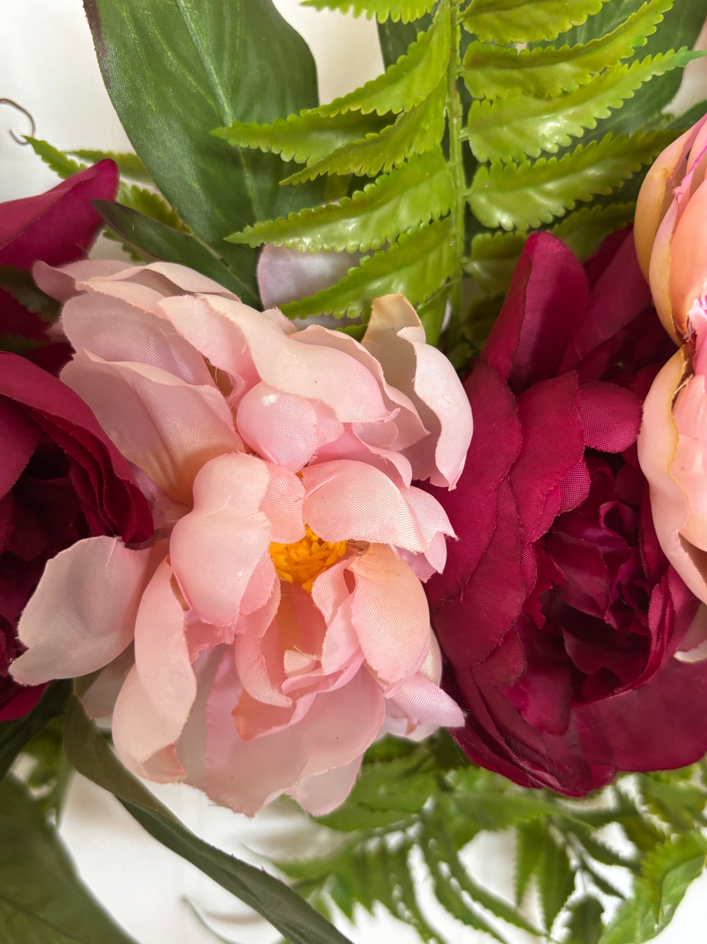 Peony grapevine-pink